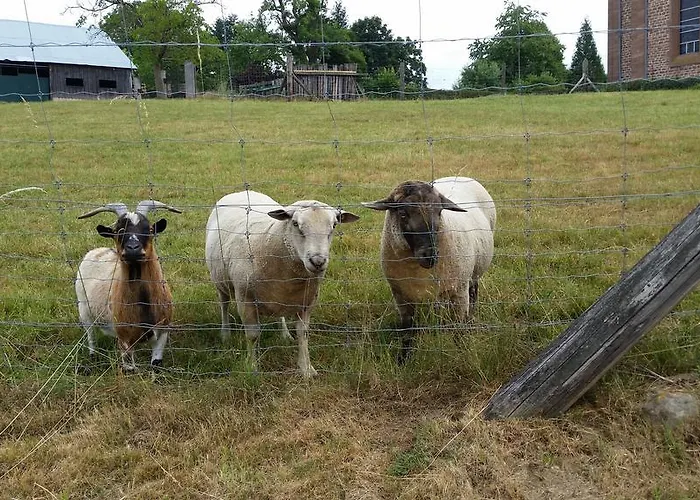D'hotes Au Freidbarry 3*